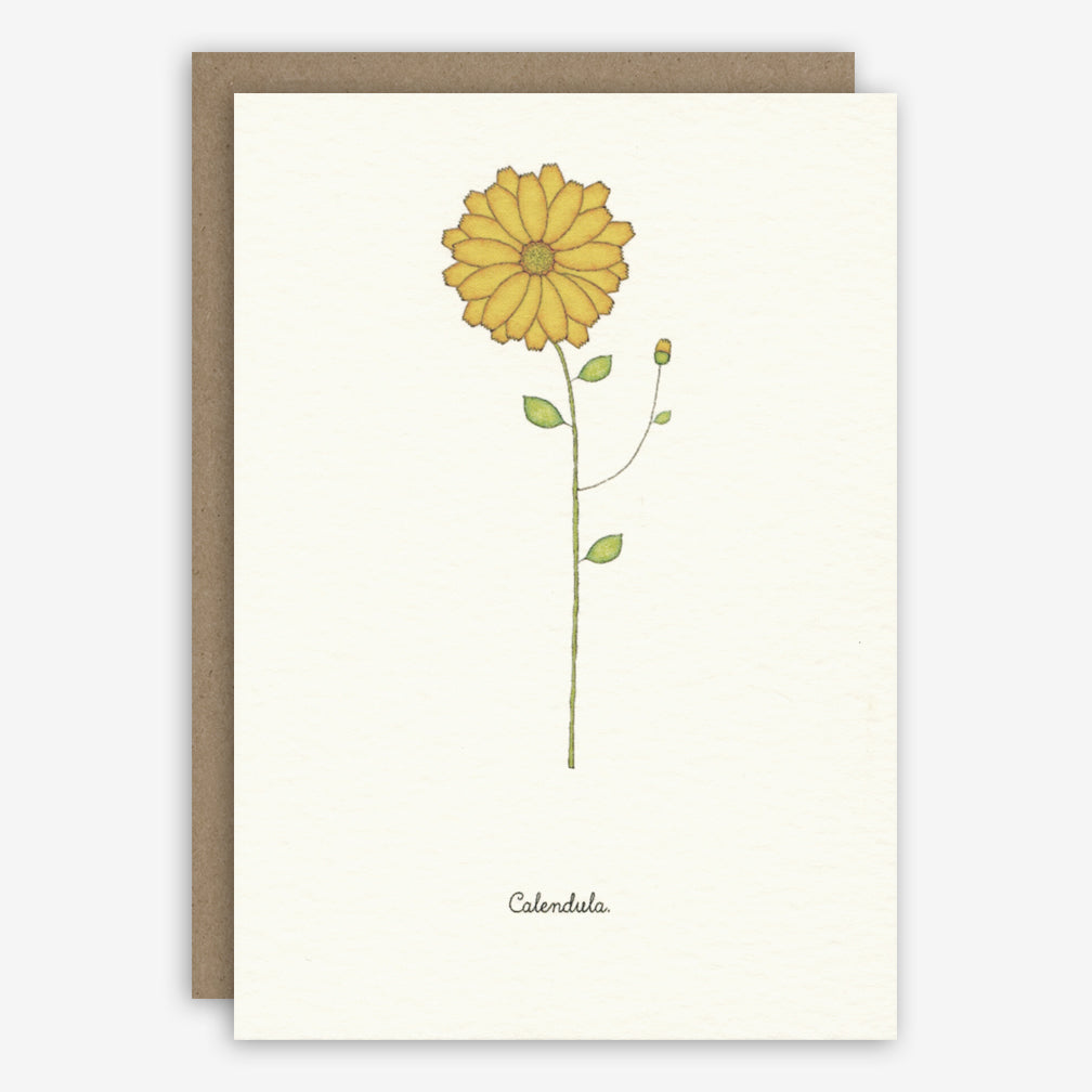 Beth Mueller: Box of Greeting Cards: Flowers, Favorite
