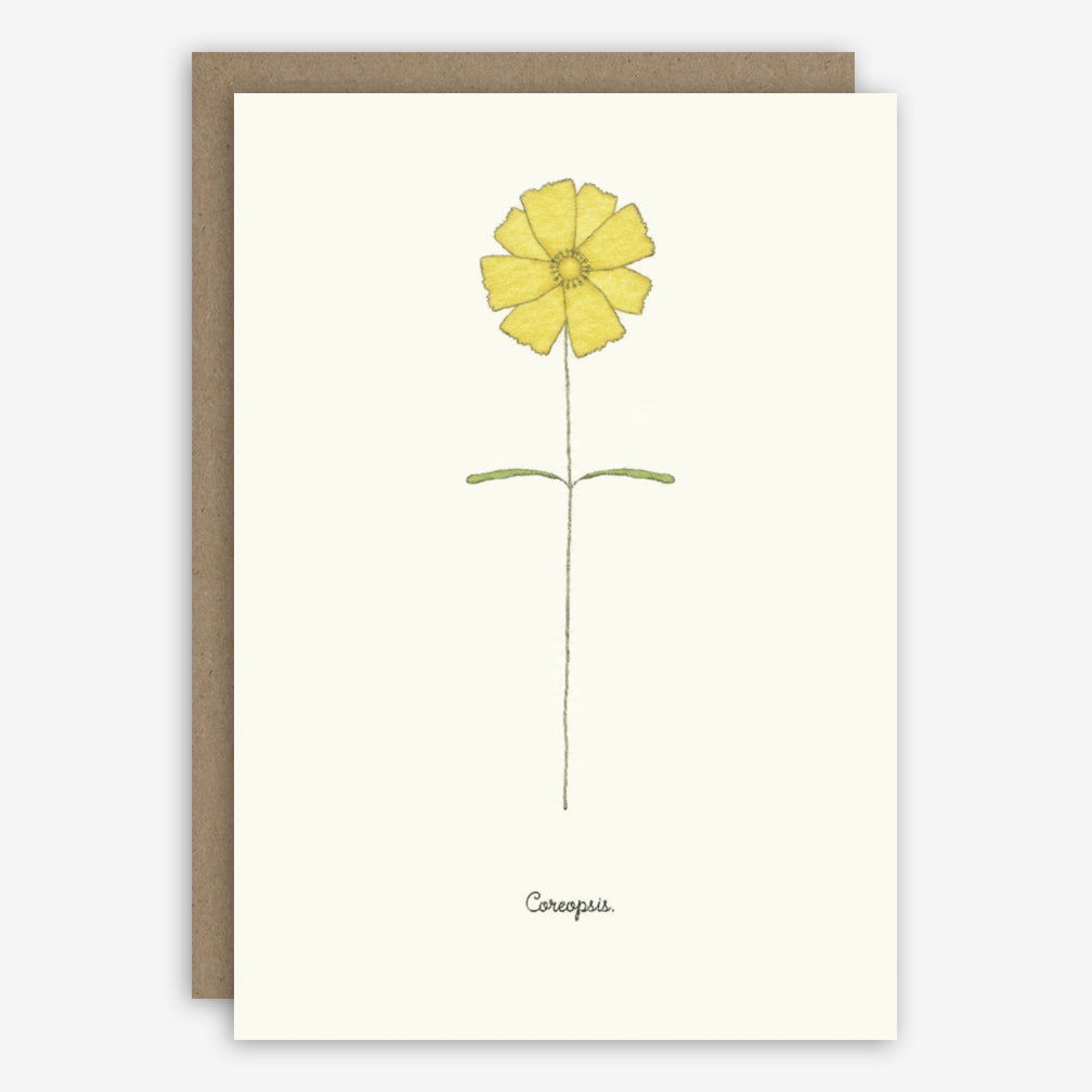 Beth Mueller: Box of Greeting Cards: Flowers, Favorite