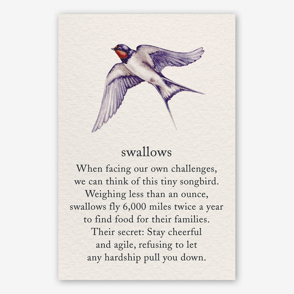Cardthartic Encouragement Card: Swallows