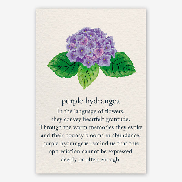 Cardthartic Thank You Card: Purple Hydrangea