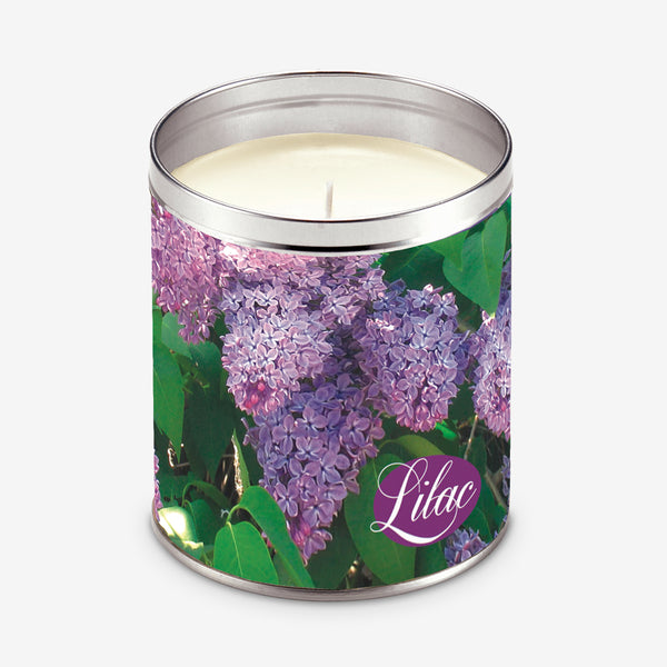 Aunt Sadie's Candles: Lilac Bush, Lilac
