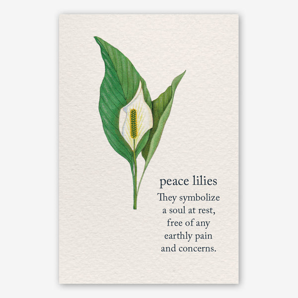 peace lilies symbolism Cardthartic Condolence Card: Peace Lilies