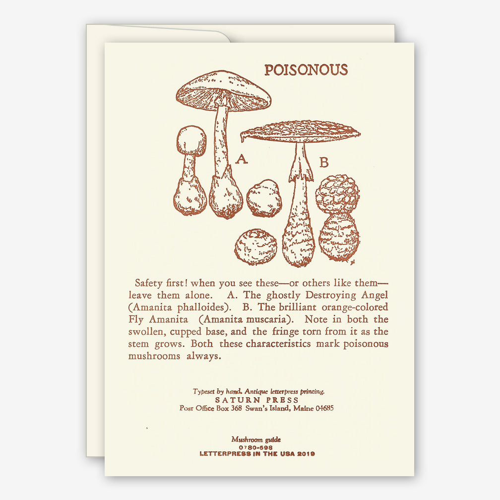 Saturn Press Everyday Card: Mushroom Guide