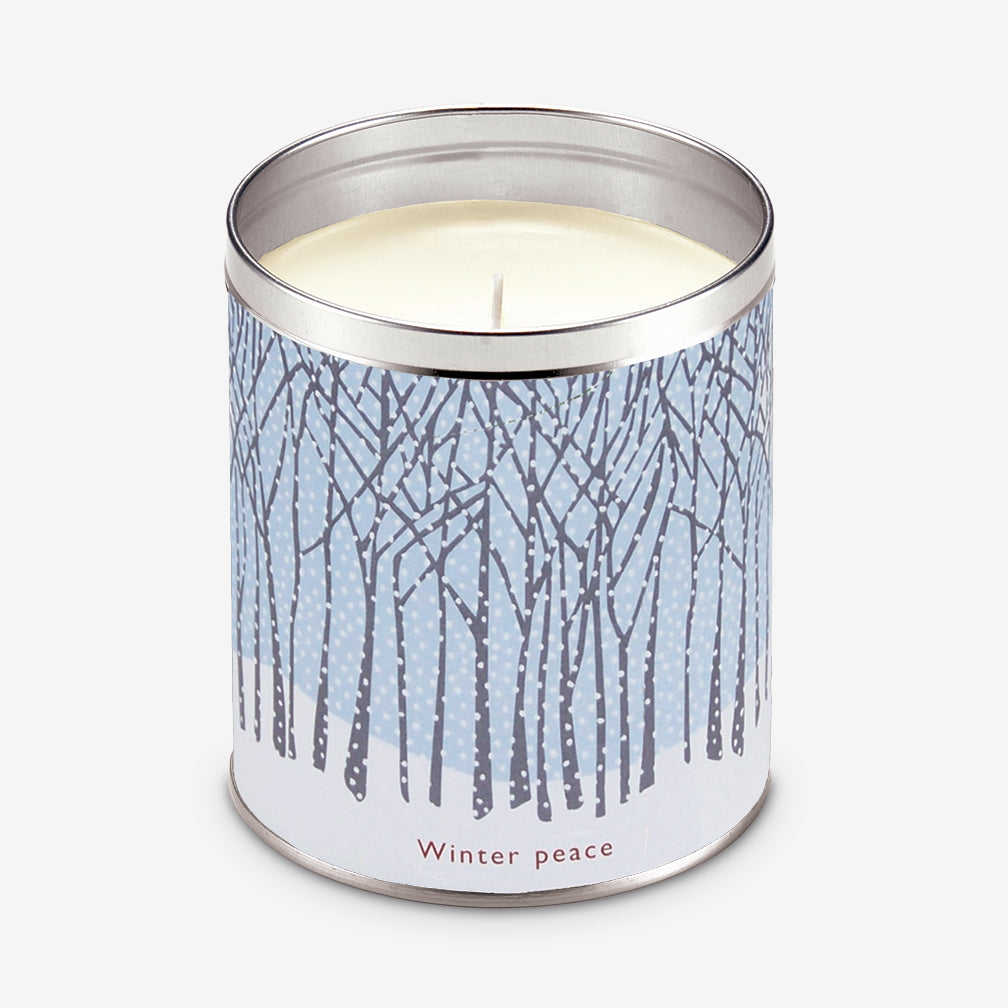 Aunt Sadie's Candles: Kate Nelligan's Winter Peace, Bayberry