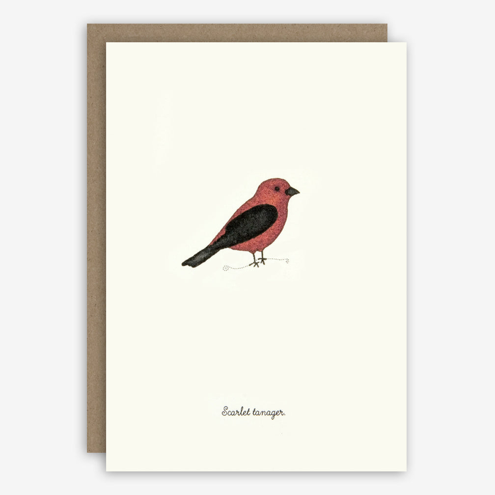 Beth Mueller: Box of Greeting Cards: Favorite Birds, Set 2