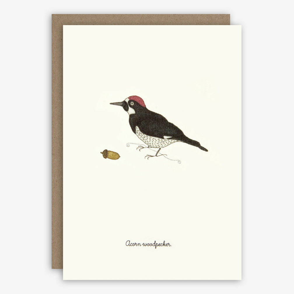 Beth Mueller: Box of Greeting Cards: Favorite Birds, Set 2