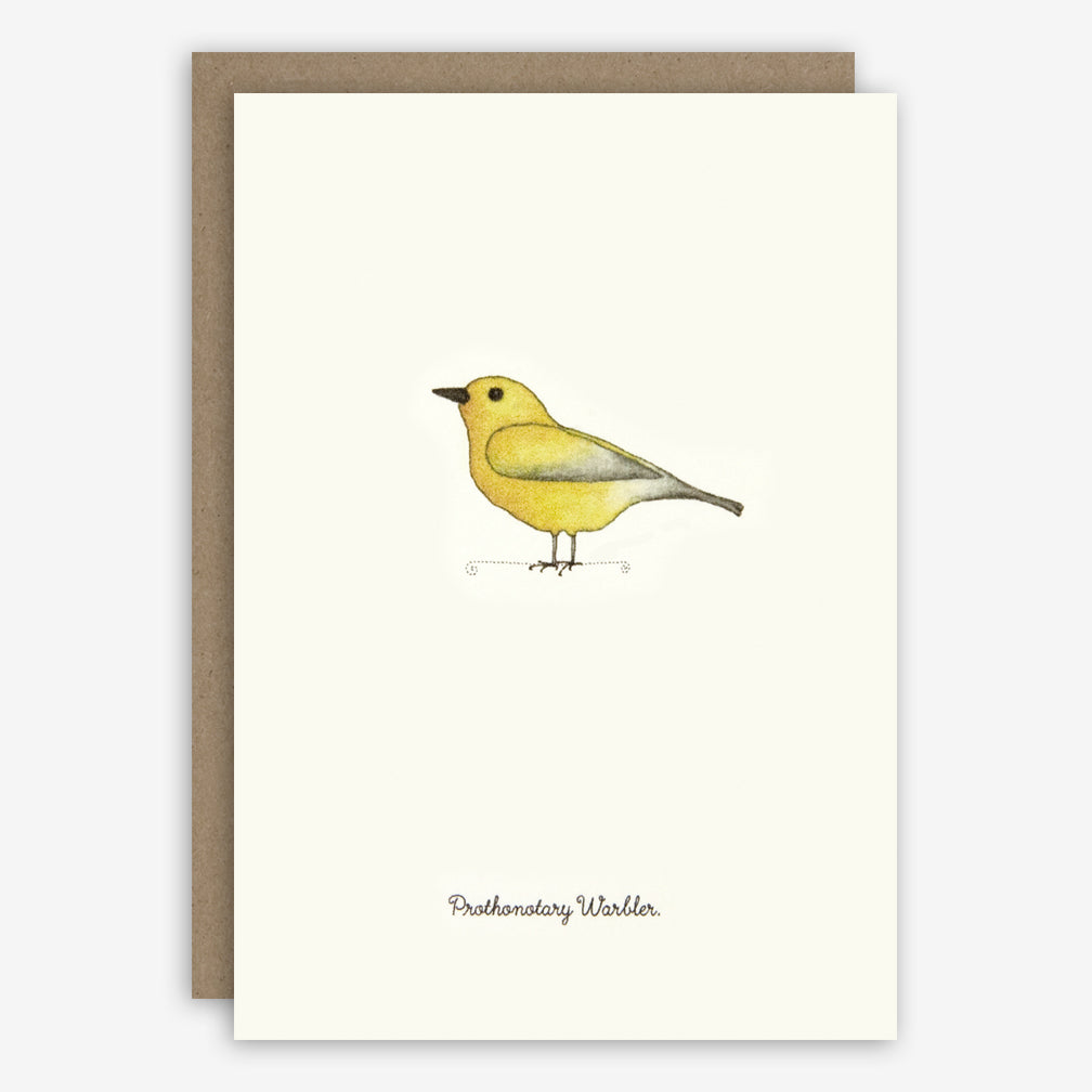 Beth Mueller: Box of Greeting Cards: Favorite Birds, Set 2