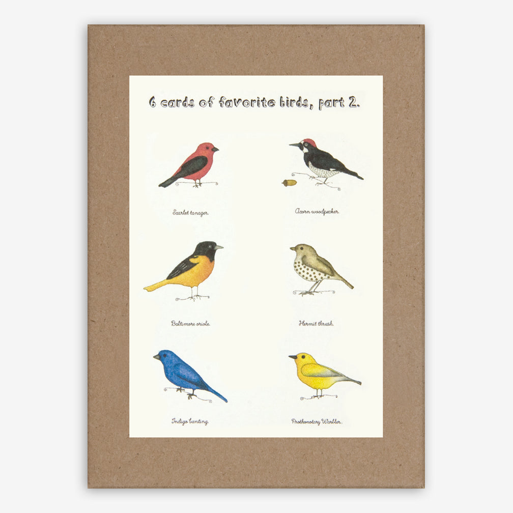 Beth Mueller: Box of Greeting Cards: Favorite Birds, Set 2