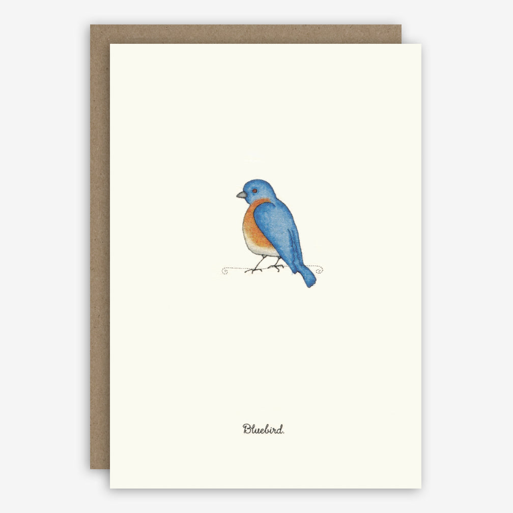 Beth Mueller: Box of Greeting Cards: Birds, Set 1