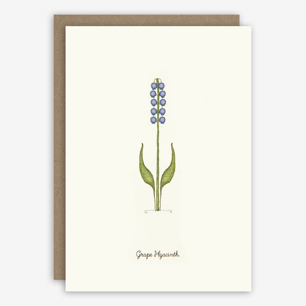 Beth Mueller: Box of Greeting Cards: Flowers of Early Spring