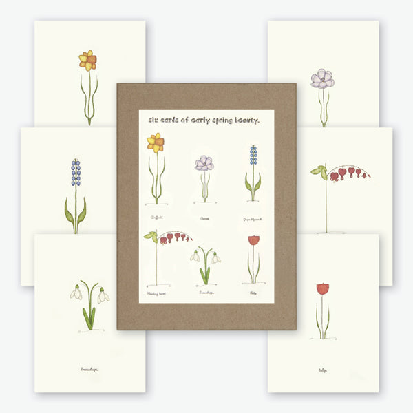 Beth Mueller: Box of Greeting Cards: Flowers of Early Spring