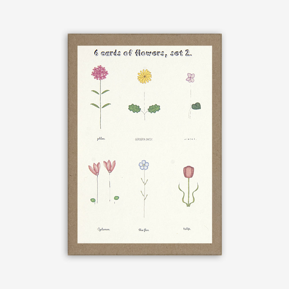 Beth Mueller: Box of Greeting Cards: Flowers, Set 2