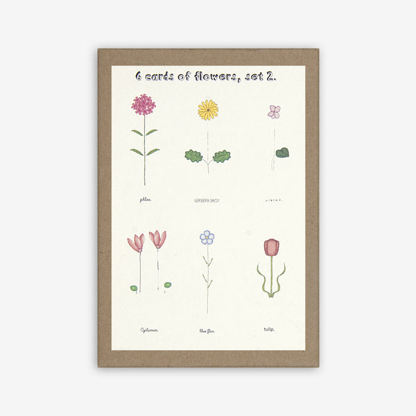 Beth Mueller: Box of Greeting Cards: Flowers, Set 2