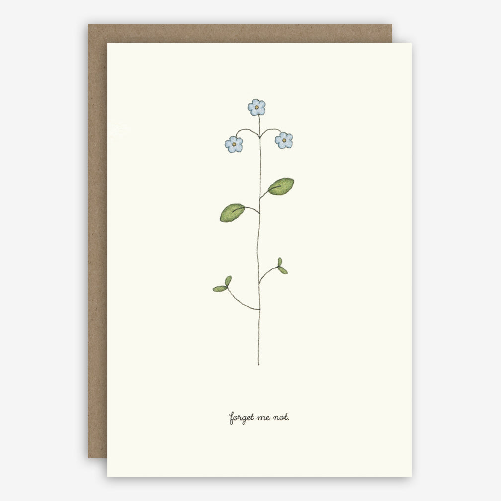 Beth Mueller: Box of Greeting Cards: Flowers, Garden