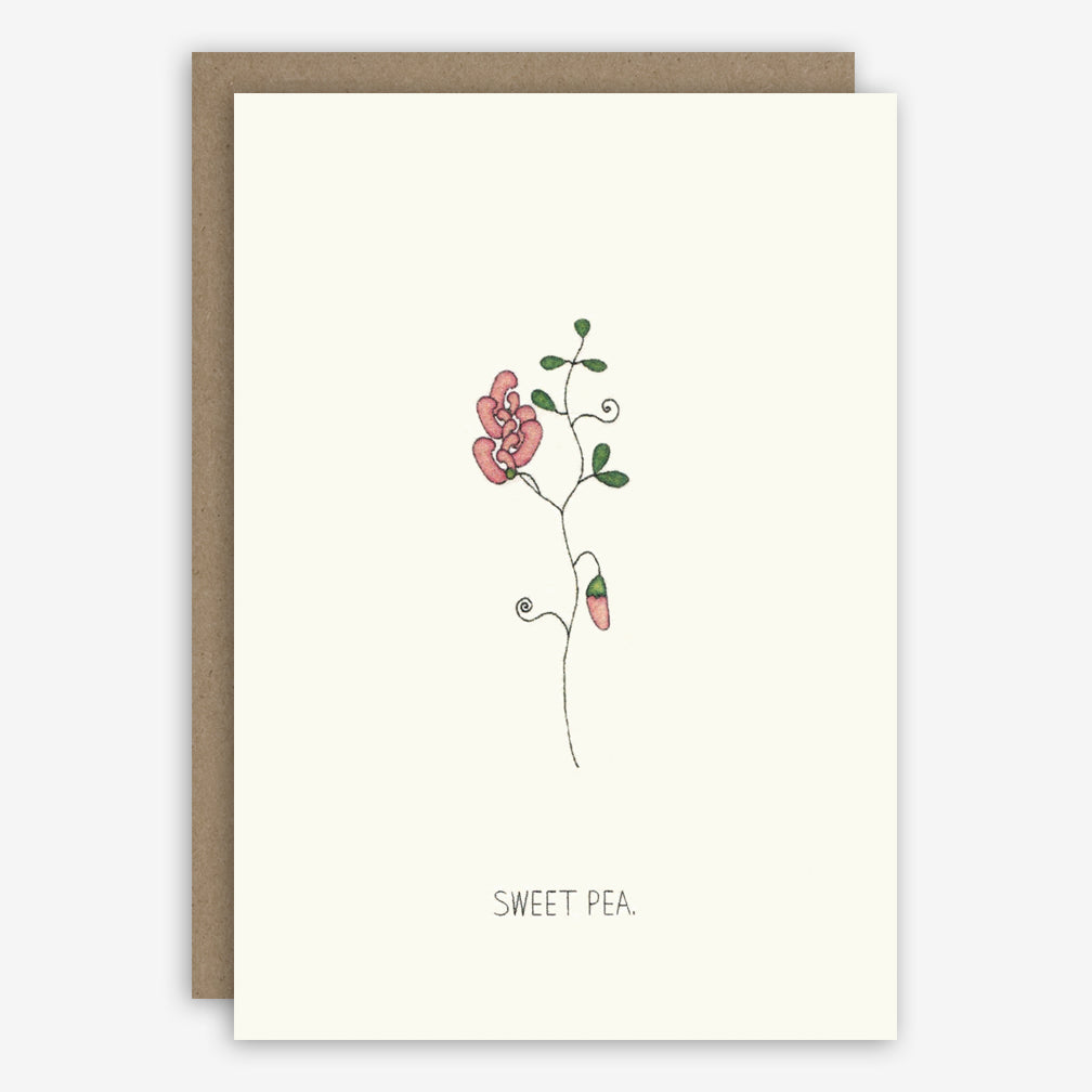 Beth Mueller: Box of Greeting Cards: Flowers, Garden