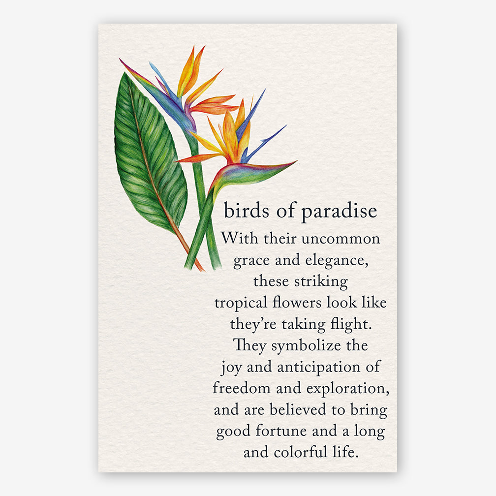 Cardthartic Birthday Card: Birds of Paradise