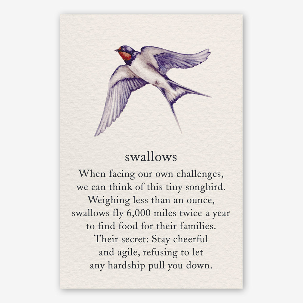 Cardthartic Encouragement Card: Swallows