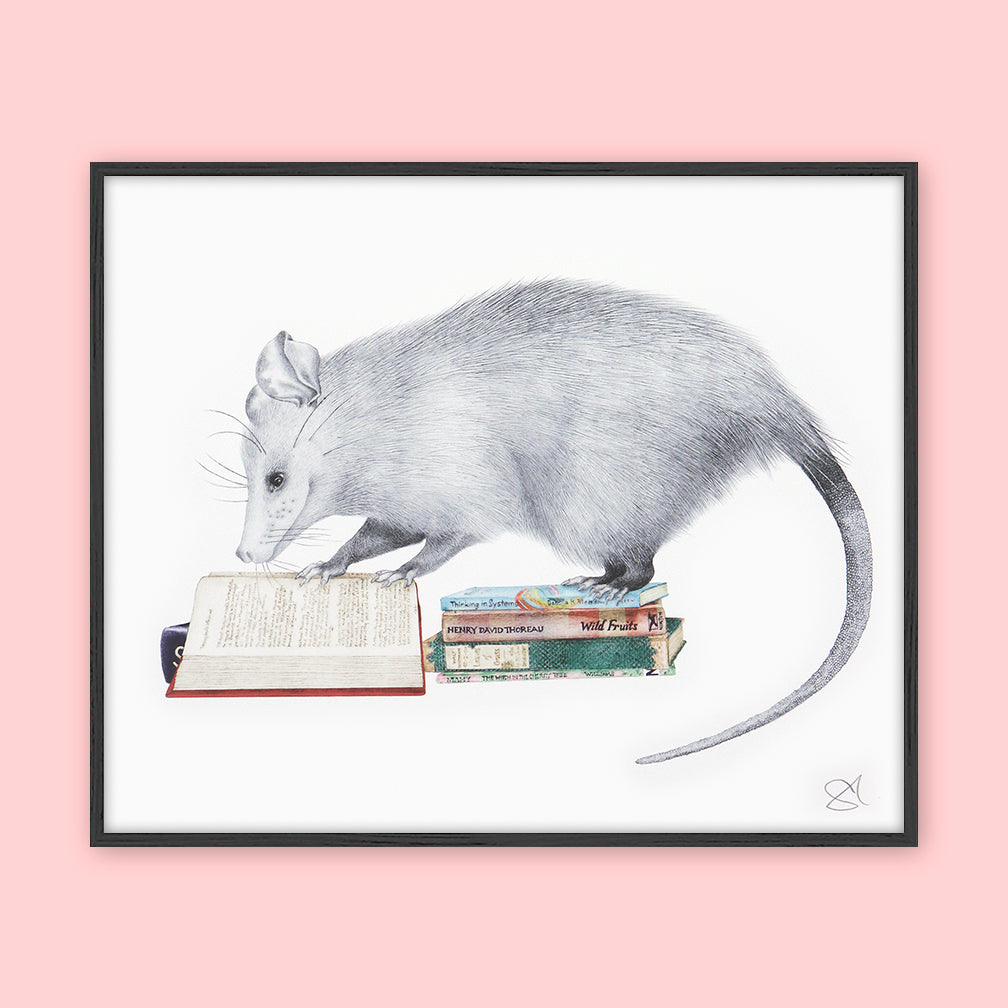 Central & Gus: Art Print: Henry Gossamer Opossum