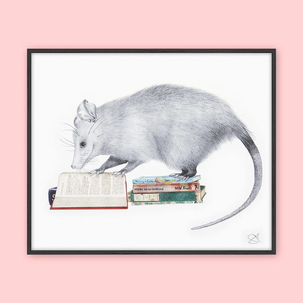 Central & Gus: Art Print: Henry Gossamer Opossum