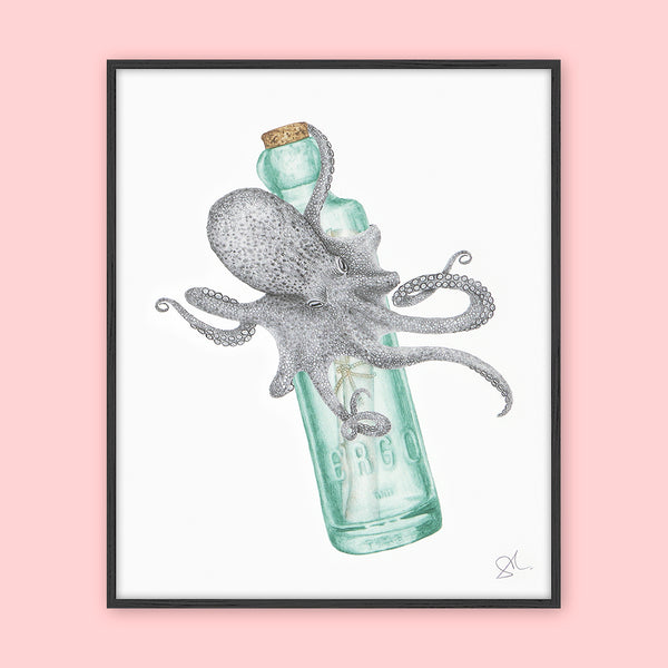 Central & Gus: Art Print: Pip Verdad Common Octopus