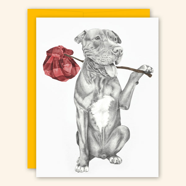 Central & Gus: Greeting Card: Mac Ar Aghaidh Linn Pit Bull Terrier