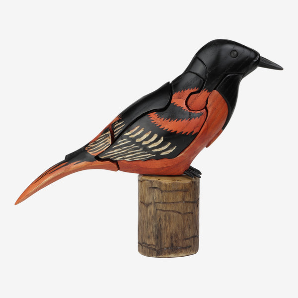 Genesis Chapman Bird Puzzles: Oriole with Caterpillar