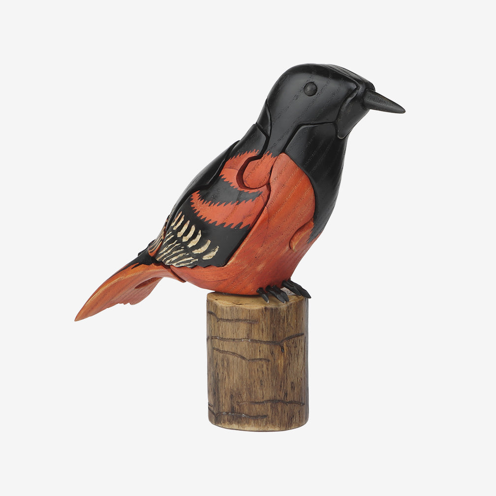 Genesis Chapman Bird Puzzles: Oriole with Caterpillar