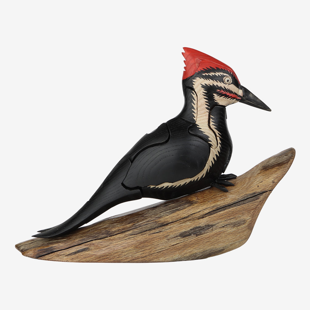 Genesis Chapman Bird Puzzles: Pileated Woodpecker with Insect