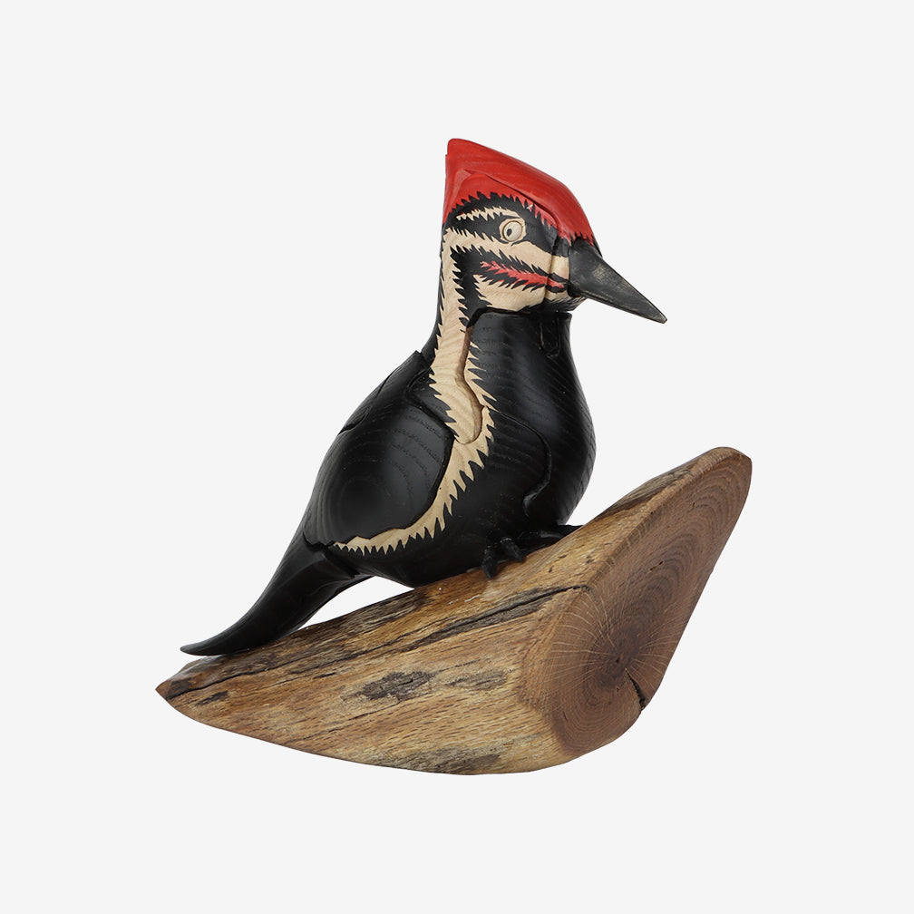 Genesis Chapman Bird Puzzles: Pileated Woodpecker with Insect