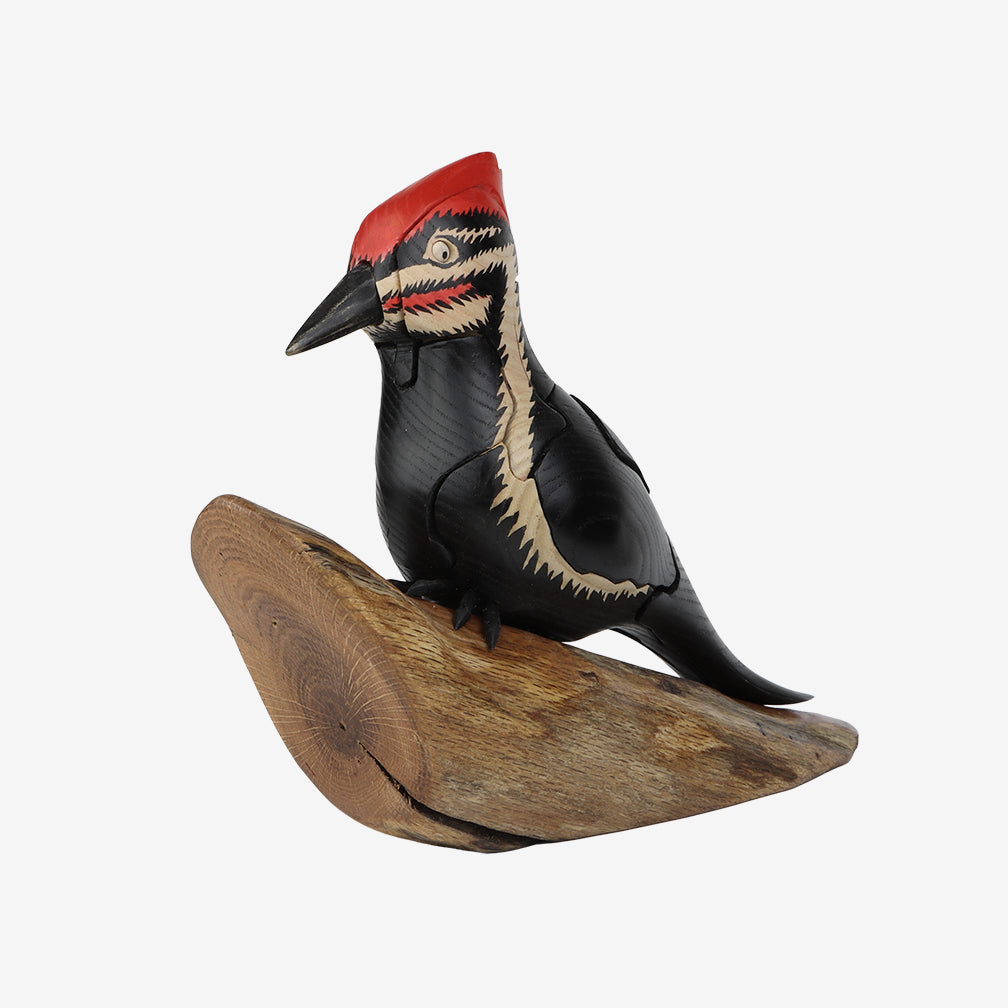 Genesis Chapman Bird Puzzles: Pileated Woodpecker with Insect