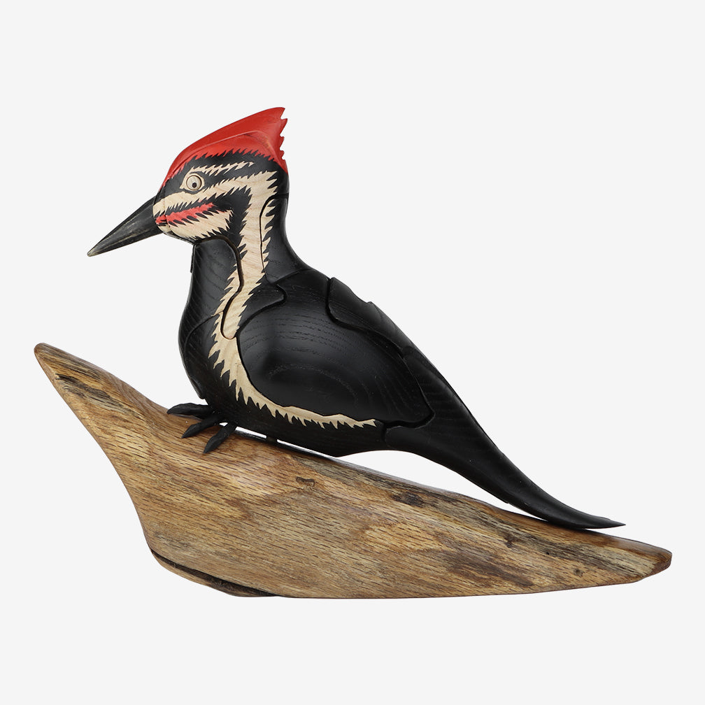Genesis Chapman Bird Puzzles: Pileated Woodpecker with Insect