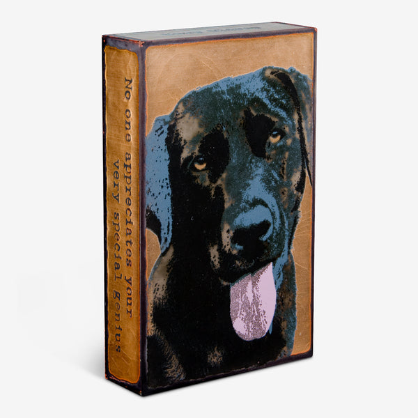 Houston Llew Spiritiles: Llewcie (Retired)