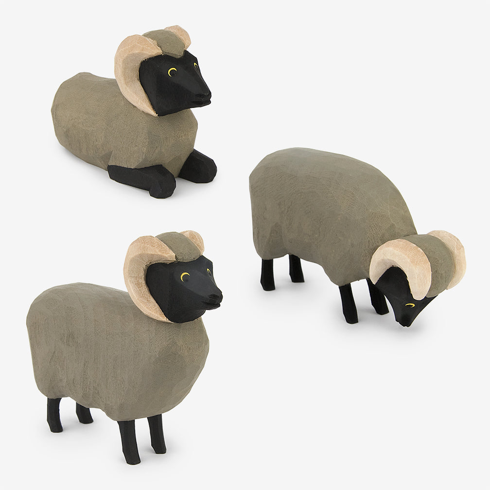 Lotte Sievers-Hahn Nativity: Moorland Sheep