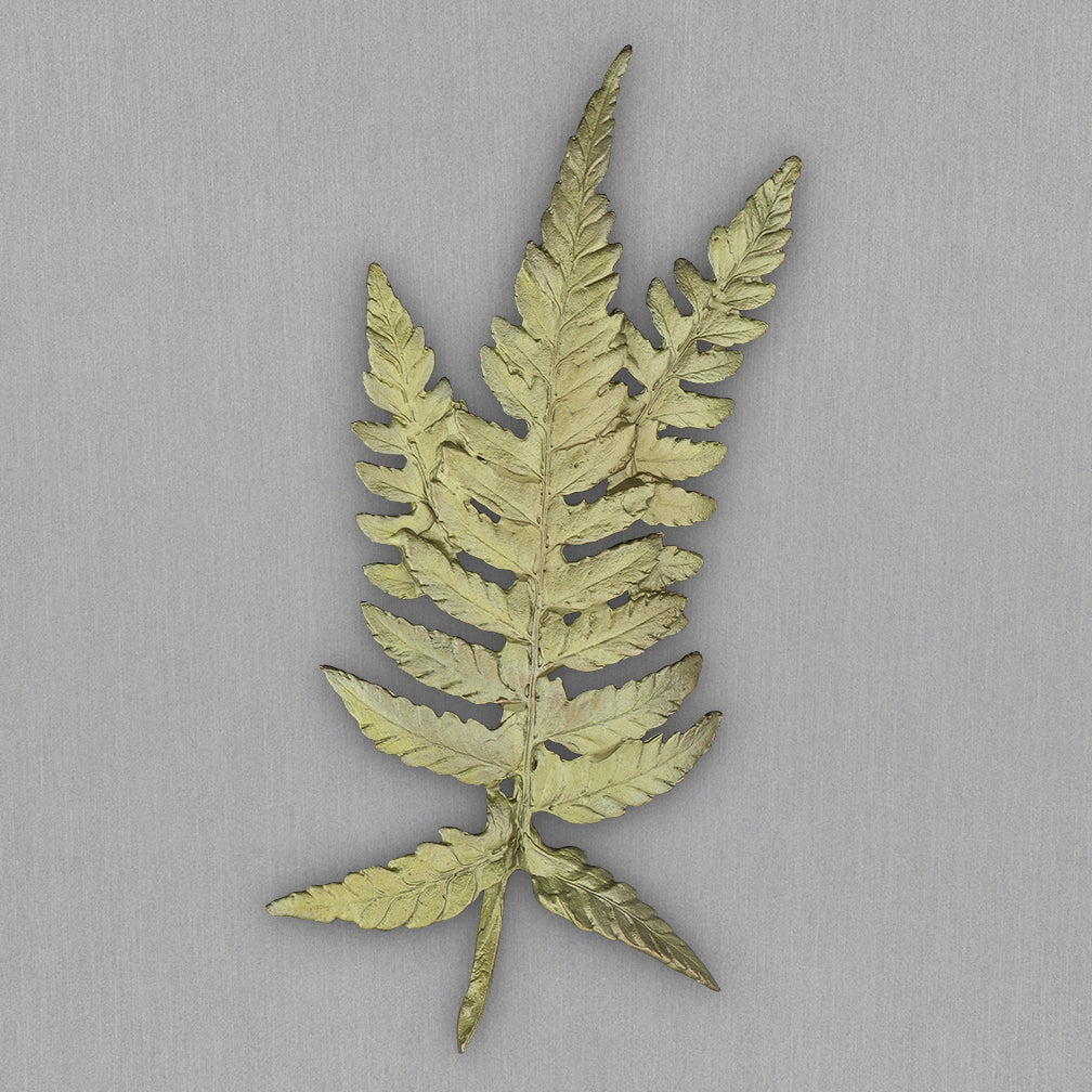 Michael Michaud Design: Fern Brooch
