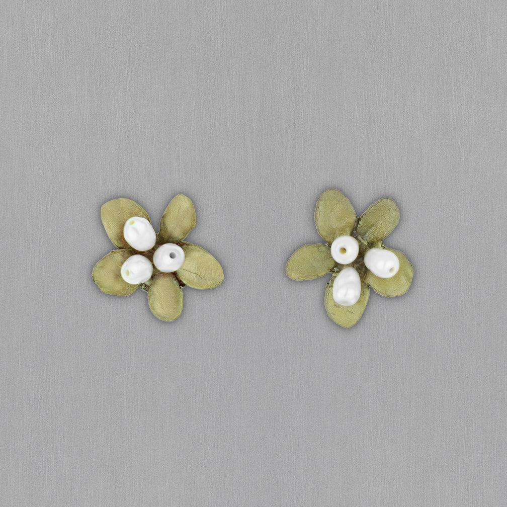 Michael Michaud Design: Japanese Firethorn Earrings, Post