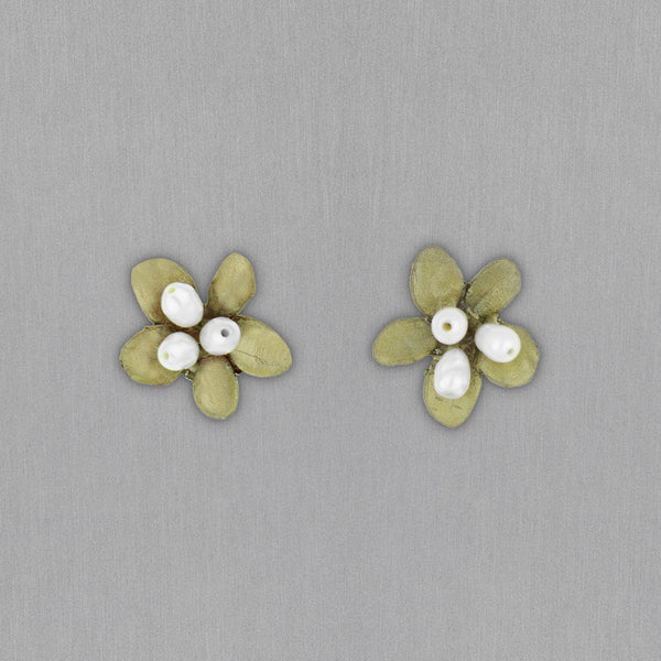 Michael Michaud Design: Japanese Firethorn Earrings, Post