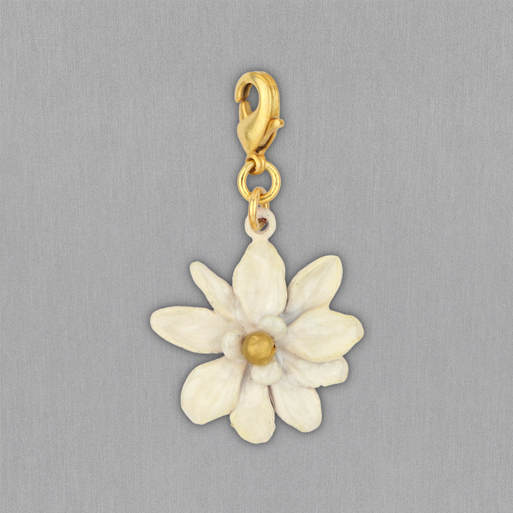 Michael Michaud Design: Magnolia Charm