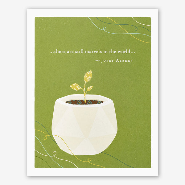 Positively Green Baby Card: “…there are still marvels in the world…” —Josef Albers