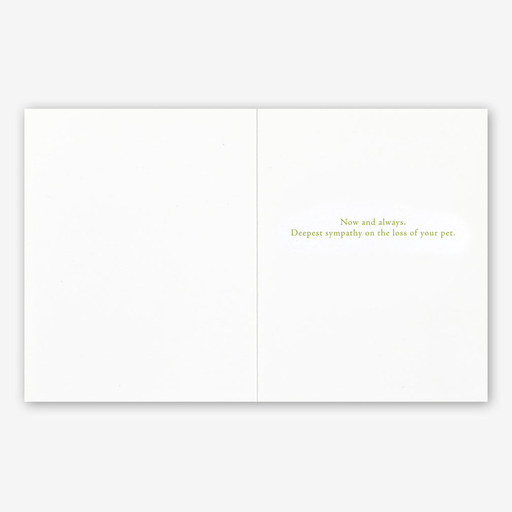 Positively Green Pet Sympathy Card: “…what belongs to us remains with us…” —Rainer Maria Rilke
