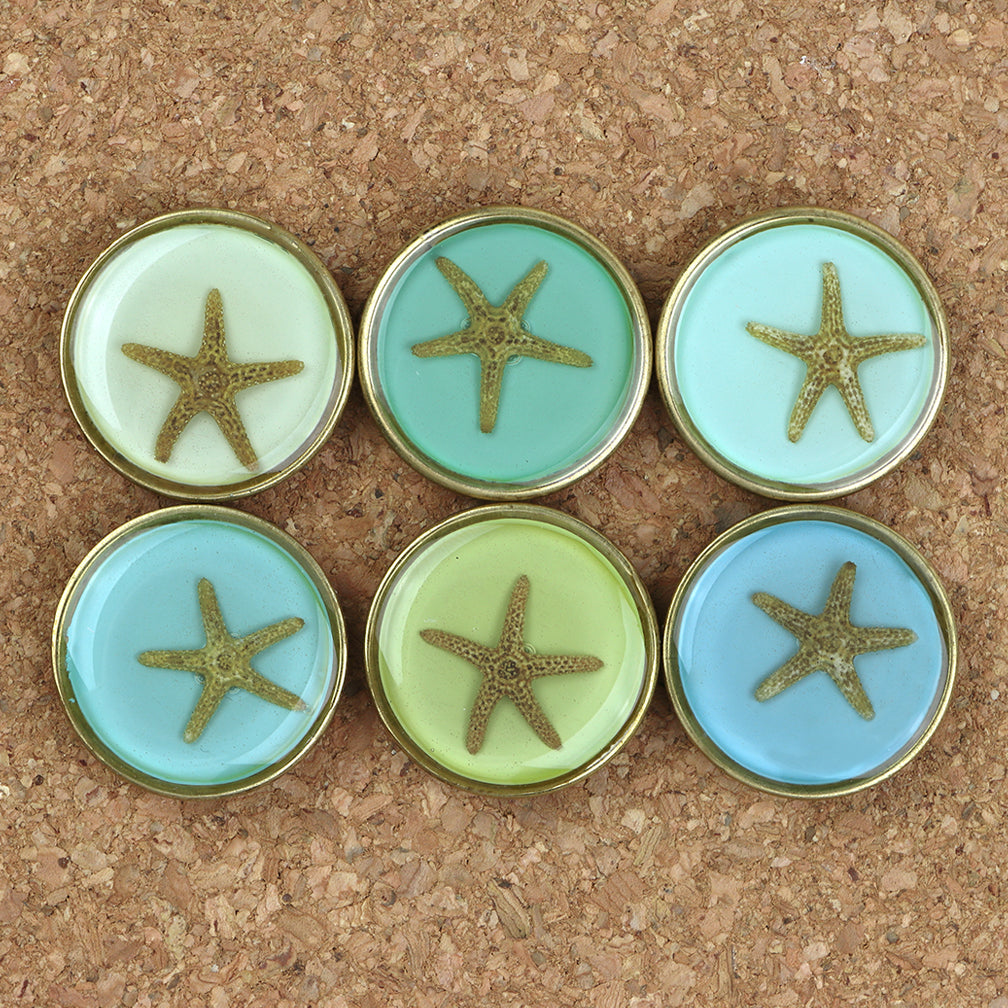 Shari Dixon Magnet Set: Coastal Starfish