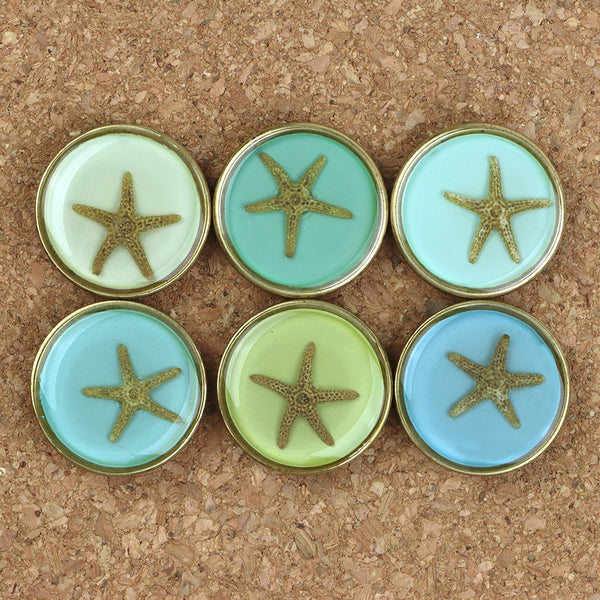 Shari Dixon Magnet Set: Coastal Starfish