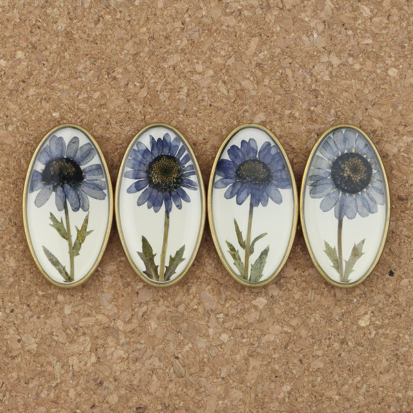 Shari Dixon Magnet Set: Denim Daisy