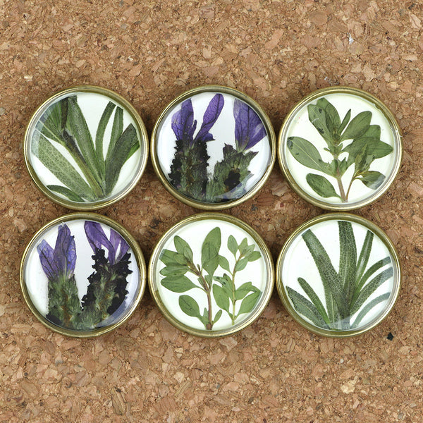 Shari Dixon Magnet Set: Herbs