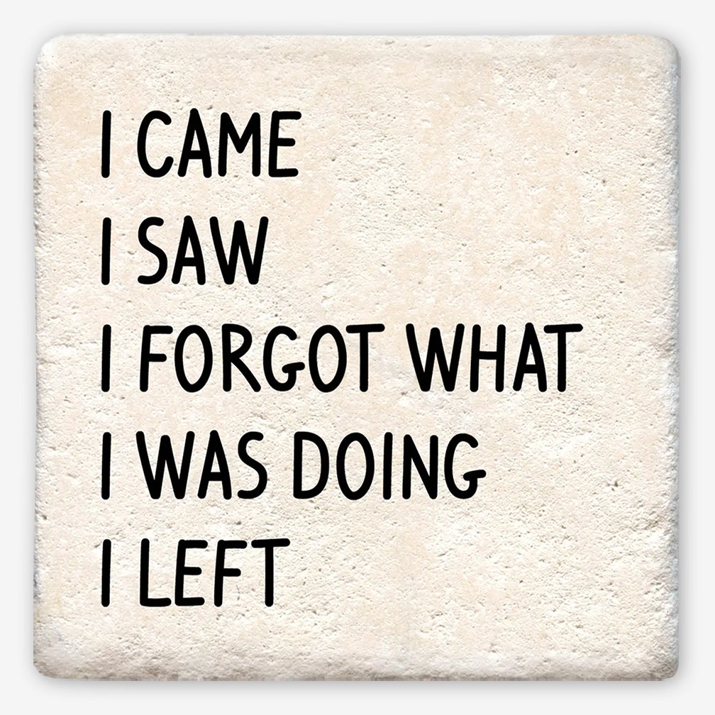 Tipsy Coasters: I Came, I Saw, I Forgot