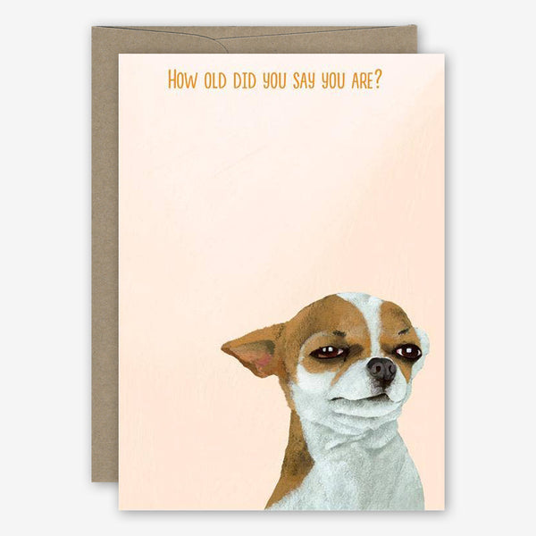 23rd Day Birthday Card: Suspicious Dog23rd Day Birthday Card: Suspicious Dog