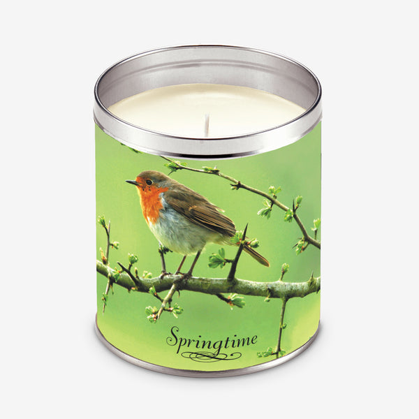 Aunt Sadie's Candles: Springtime Robin