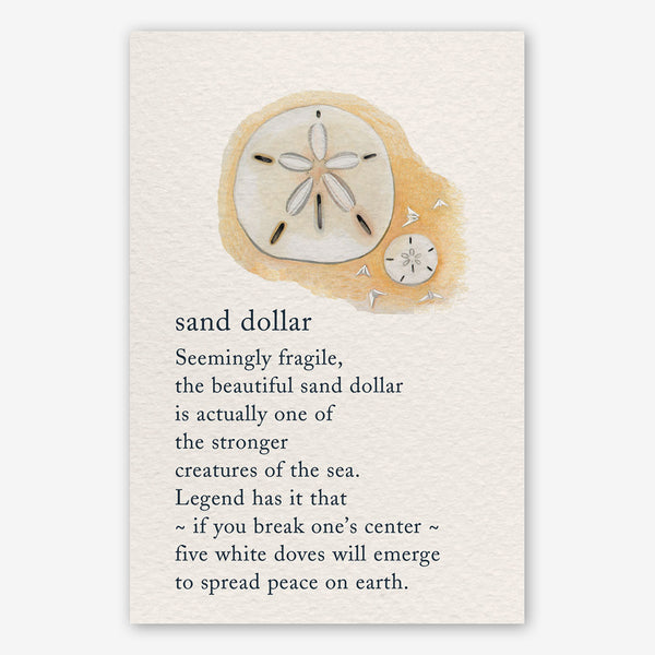 Cardthartic Birthday Card: Sand Dollar