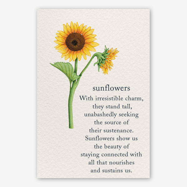 Cardthartic Birthday Card: Sunflowers