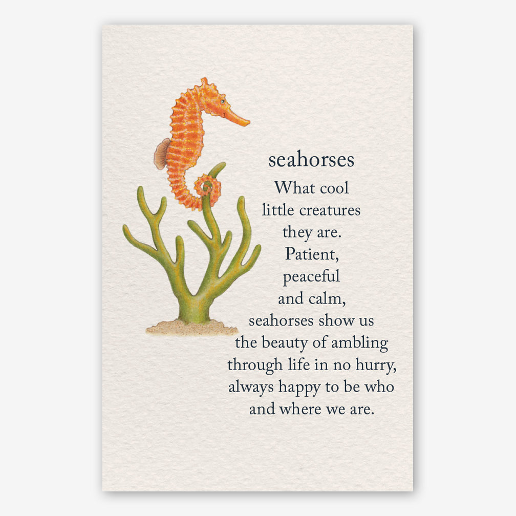 Cardthartic Birthday Card: Seahorses