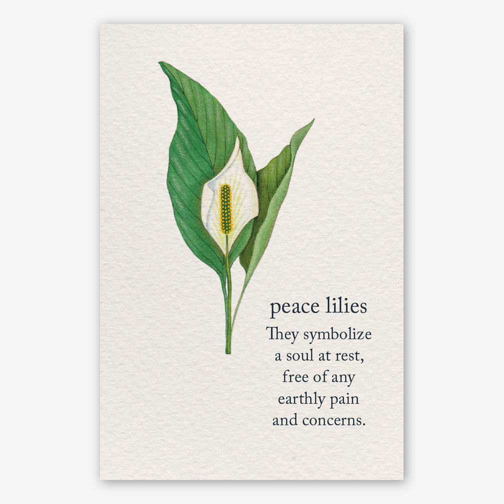 Cardthartic Condolence Card: Peace Lilies